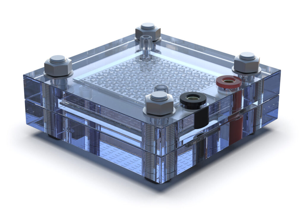 Hydrogen fuel cell